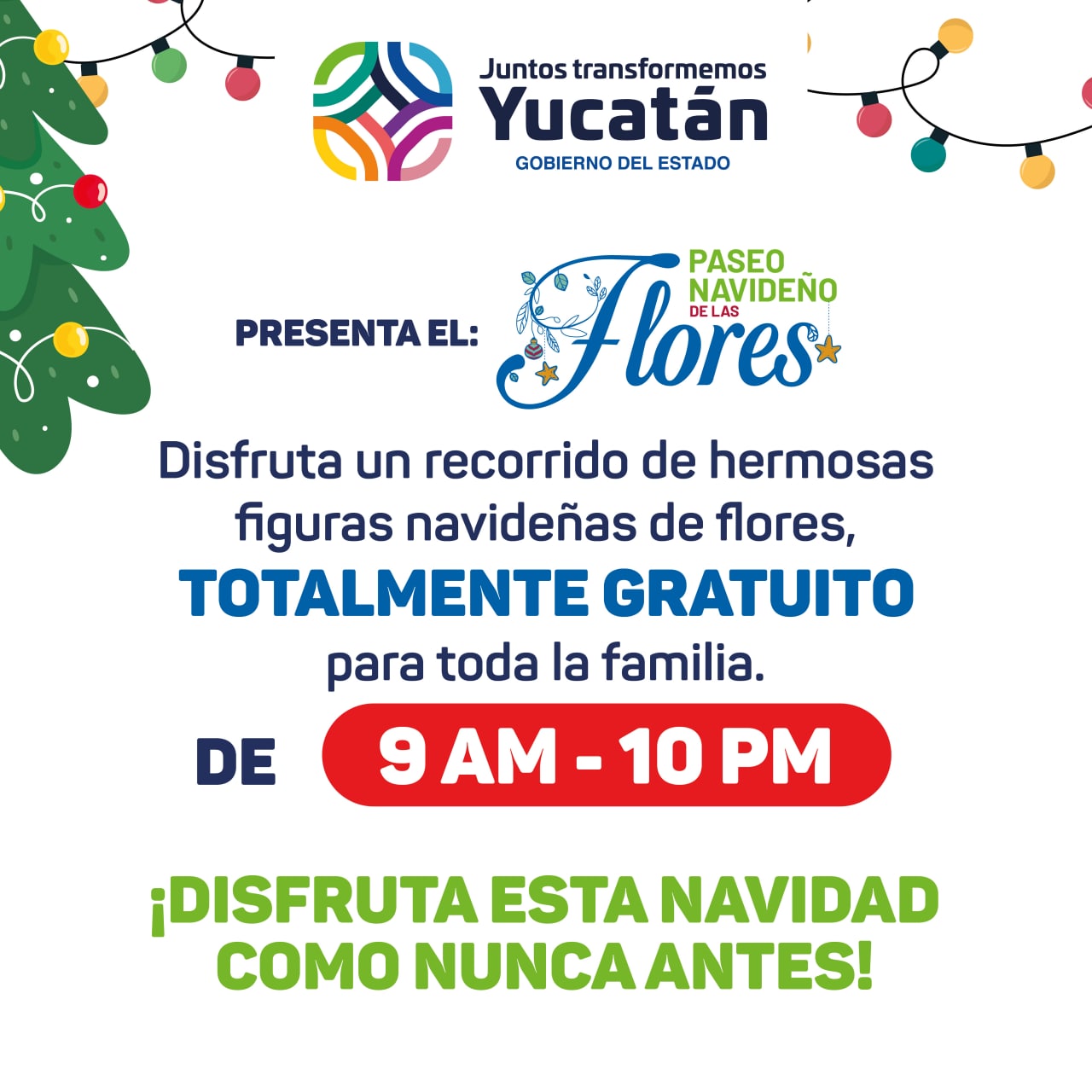 “Paseo Navideño de las Flores” ofrecerá a los yucatecos una muestra de obras artísticas hechas con flores y plantas