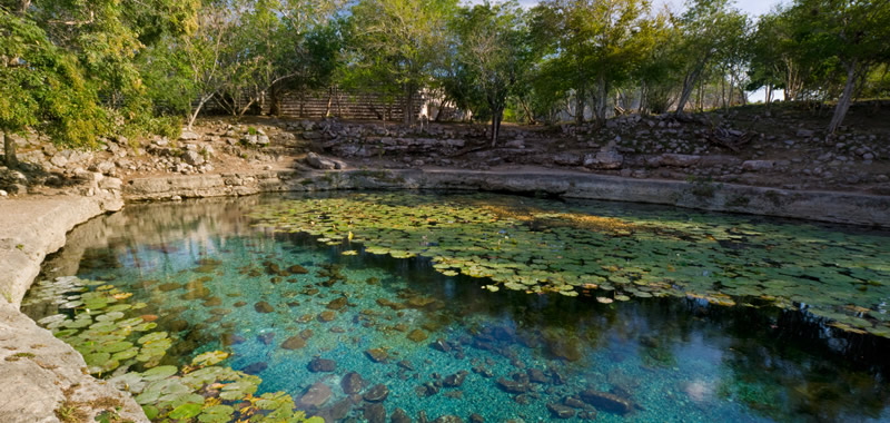 DESCUBREN UNA CAVERNA EN EL CENOTE XLACAH DE DZIBILCHALTÚN.