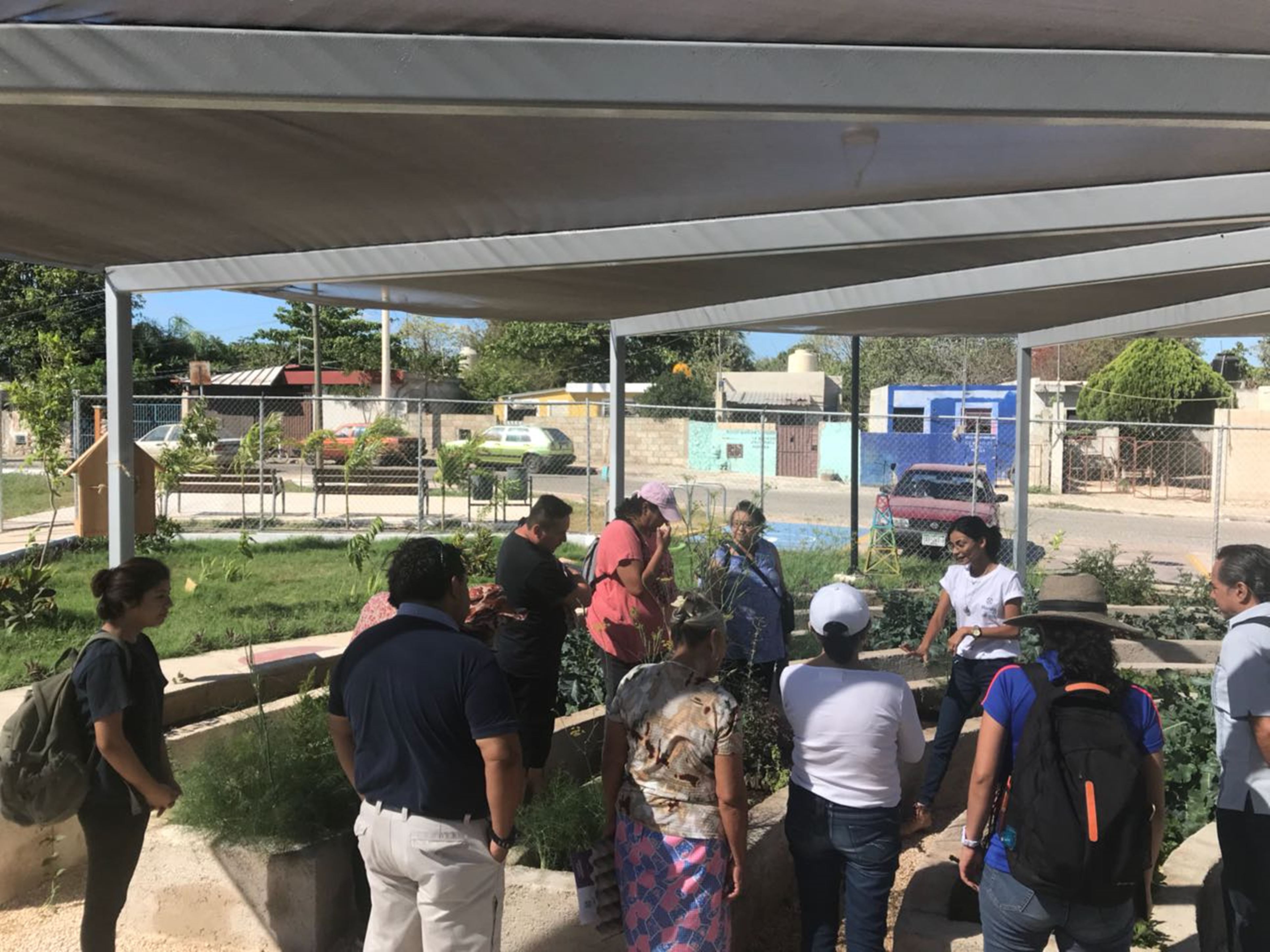 Huertos urbanos, opción para fomentar el potencial del sur de Mérida