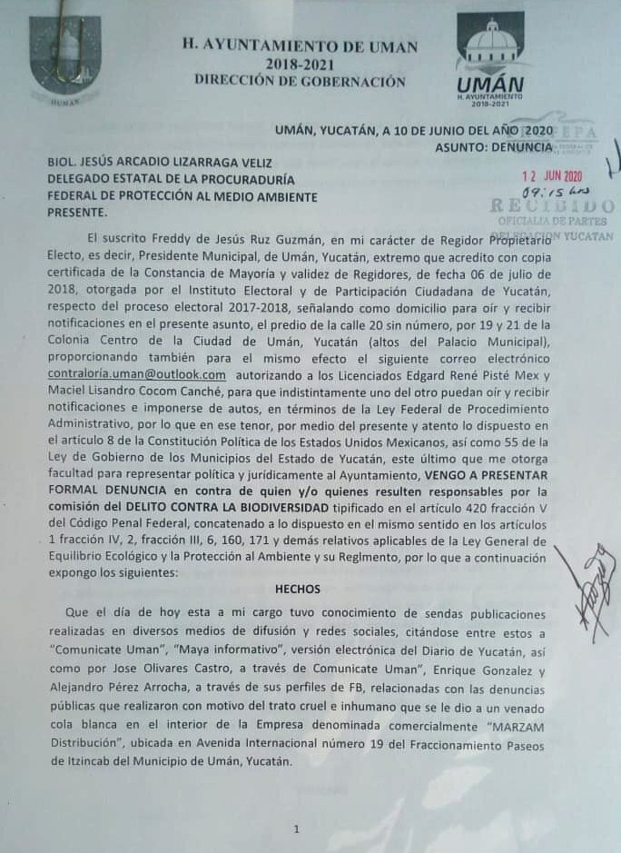 El Ayuntamiento de Umán denuncia la muerte de venado ante la Profepa