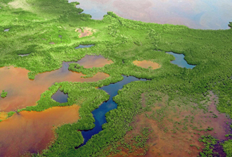 Se inicia Controversia Constitucional para defender Holbox